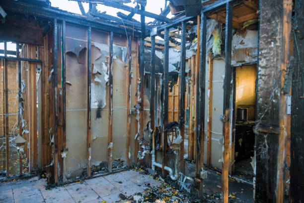 Professional Fire Damage Restoration technician working in Woodbine, IA